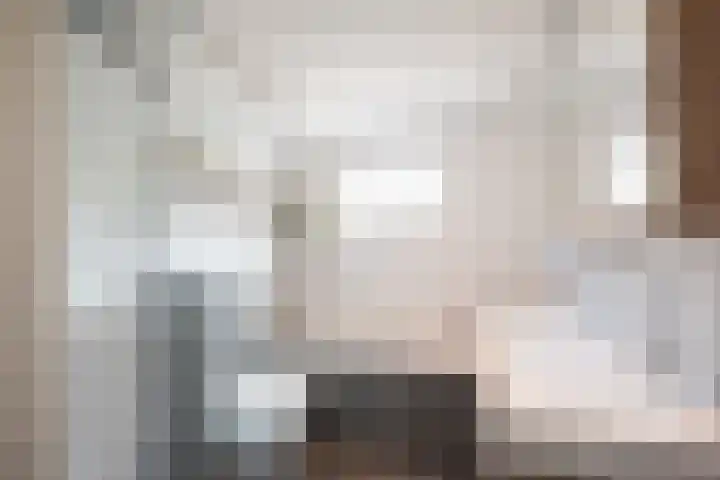 Mina Krusemanstraat 22 Velserbroek thumbnail 30