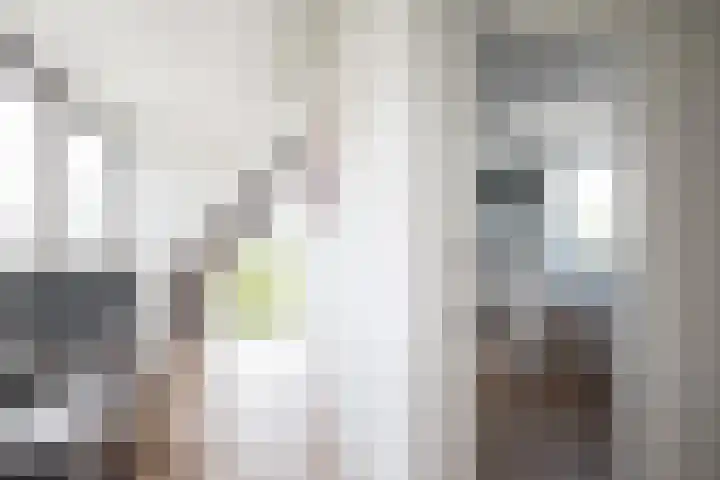 Mina Krusemanstraat 22 Velserbroek thumbnail 37