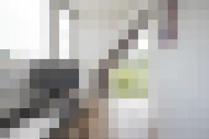 Mina Krusemanstraat 22 Velserbroek thumbnail 38