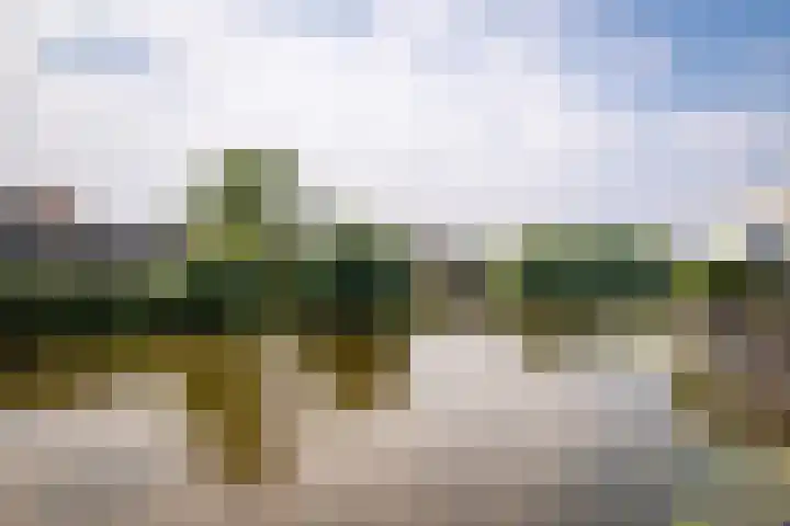Mina Krusemanstraat 22 Velserbroek thumbnail 45