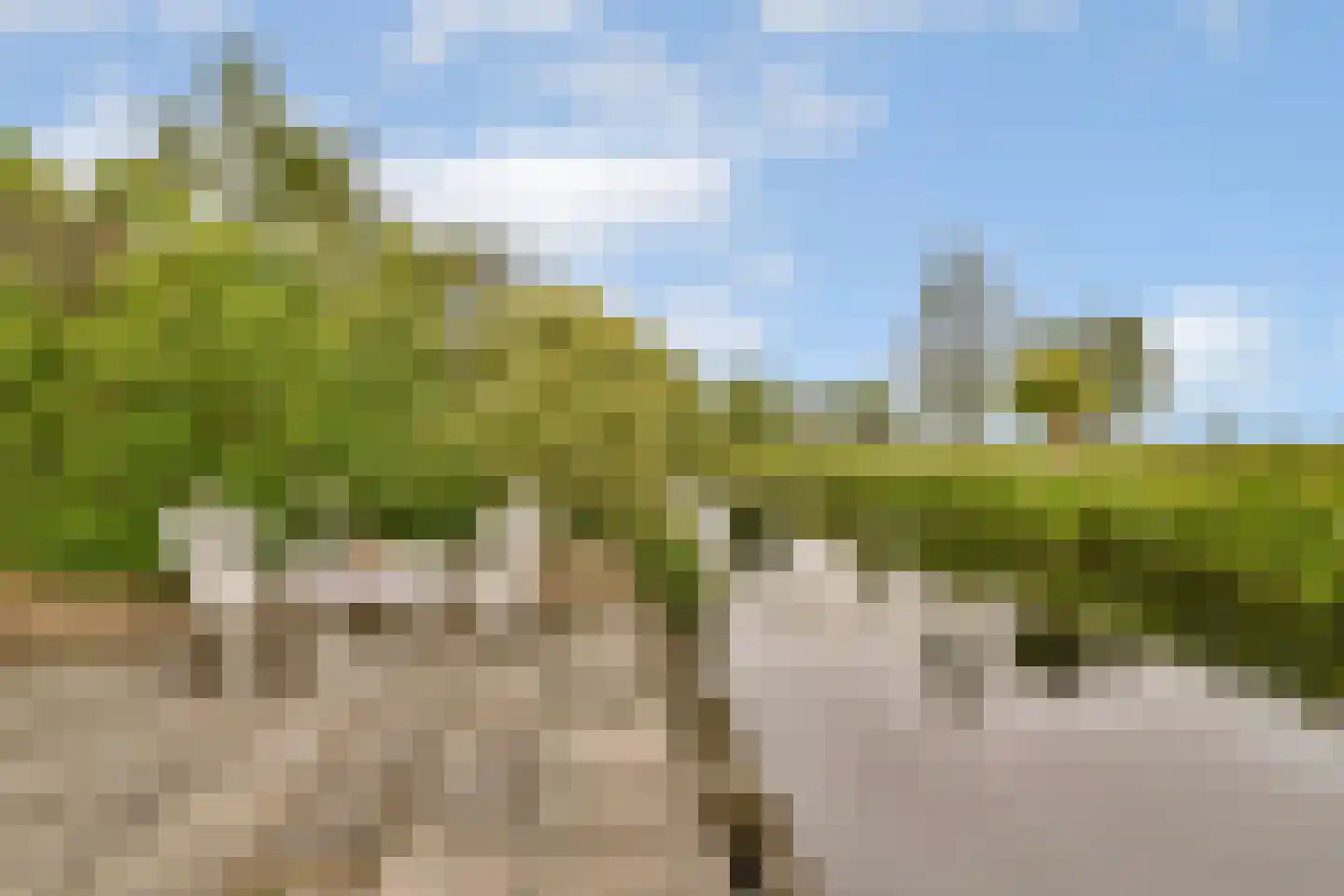 Mina Krusemanstraat 24 Schiedam thumbnail 12
