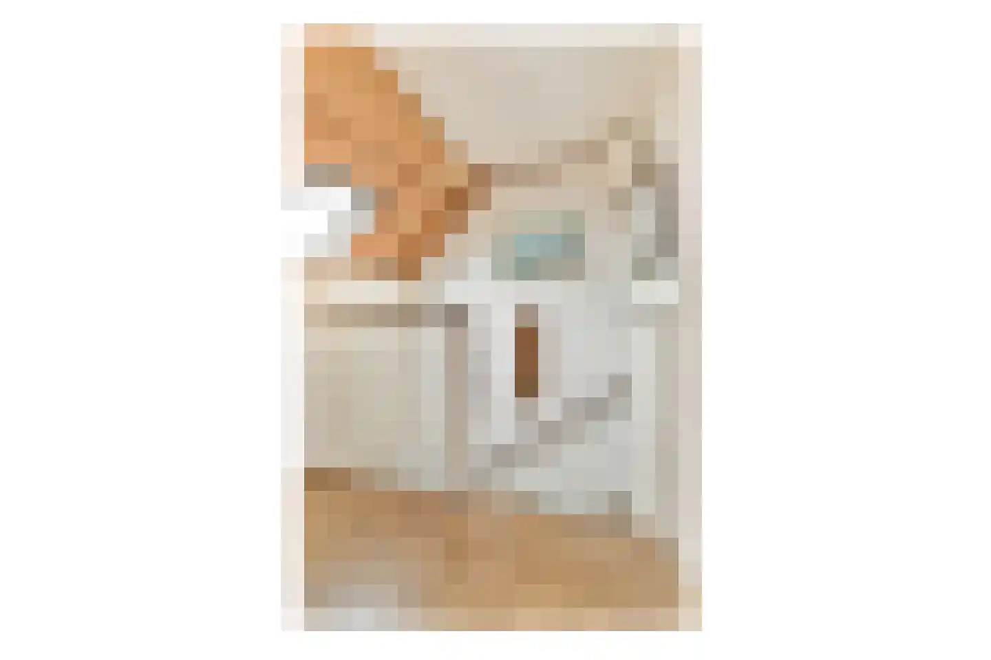 Mina Krusemanstraat 24 Schiedam thumbnail 25