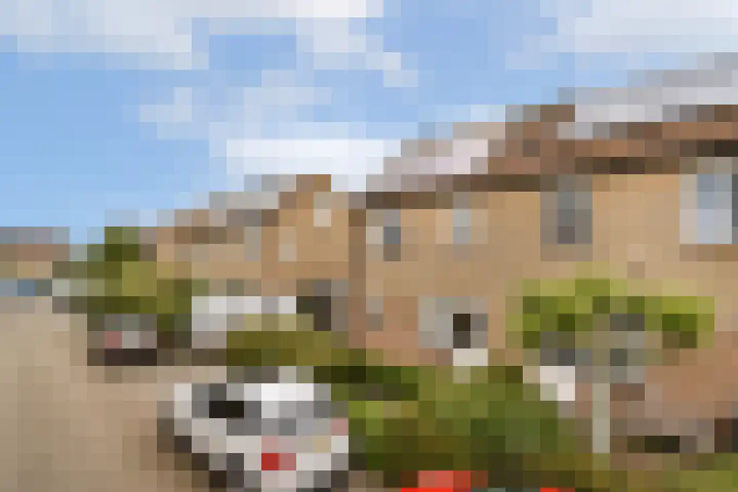 Mina Krusemanstraat 24 Schiedam thumbnail 29