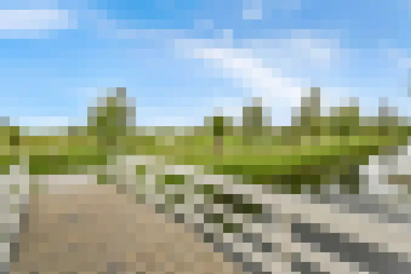 Mina Krusemanstraat 24 Schiedam thumbnail 32