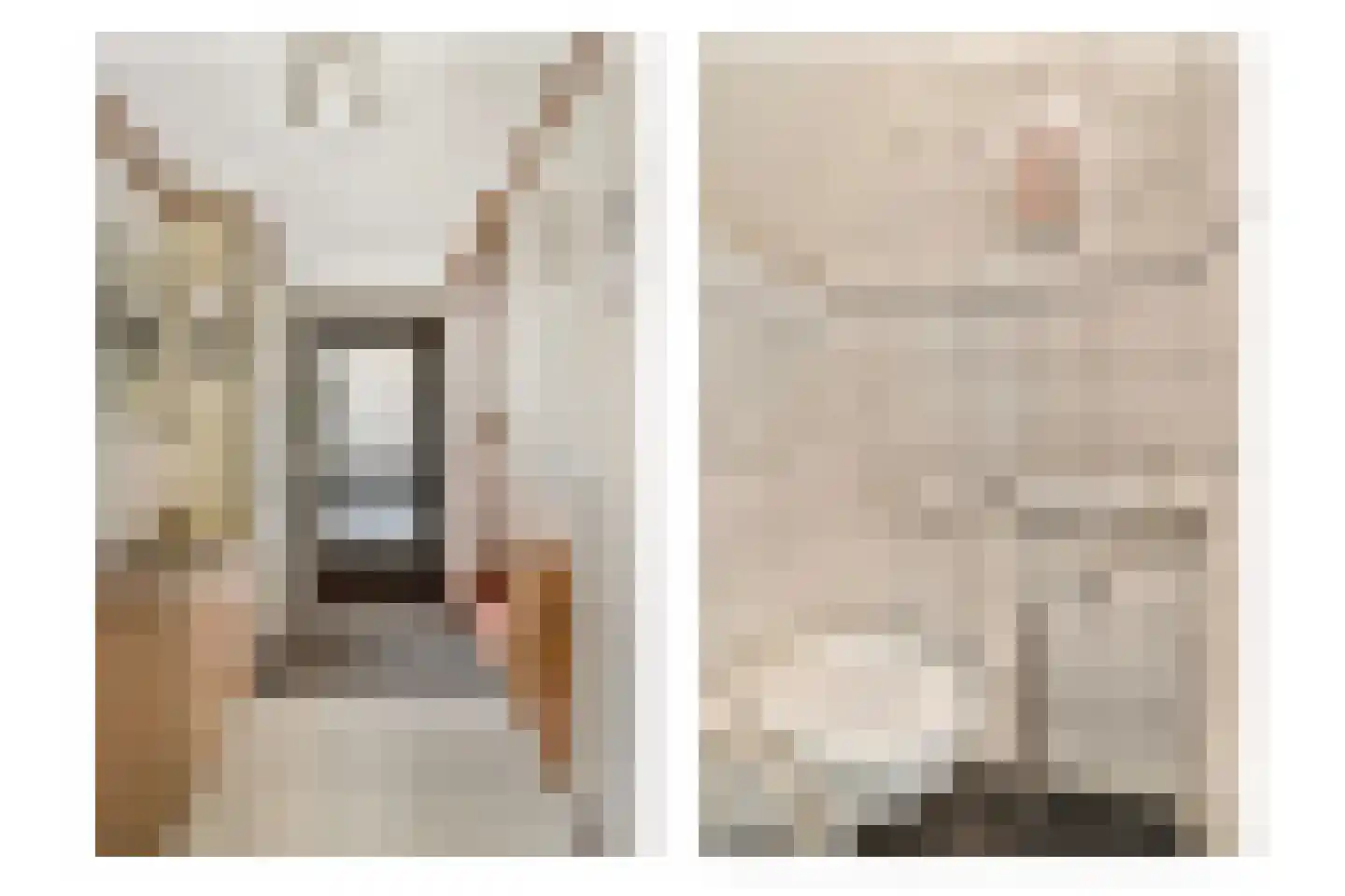 Mina Krusemanstraat 24 Schiedam thumbnail 6