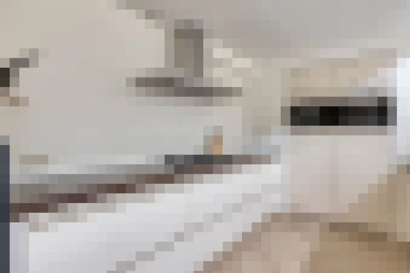 Mina Krusemanstraat 29 Venray thumbnail 15