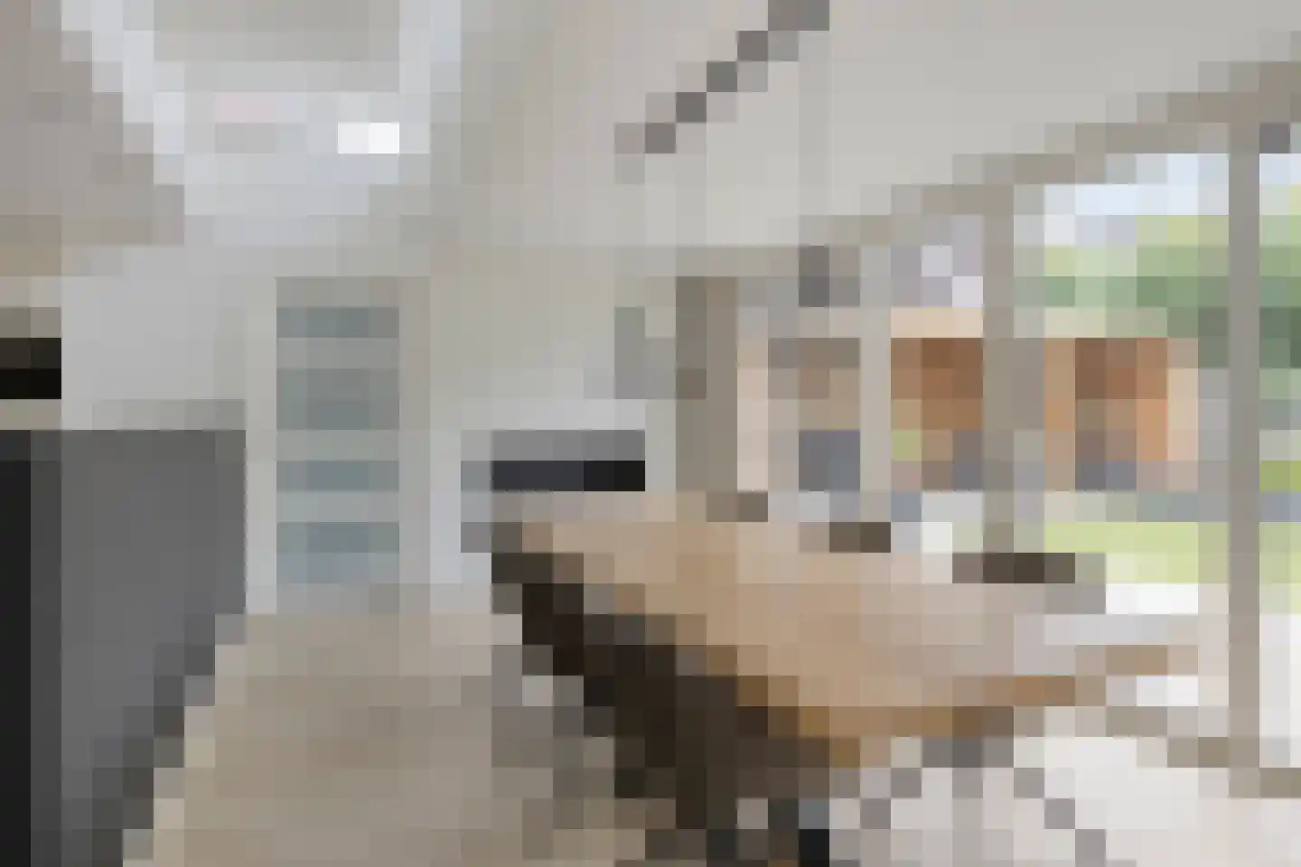 Mina Krusemanstraat 29 Venray thumbnail 17