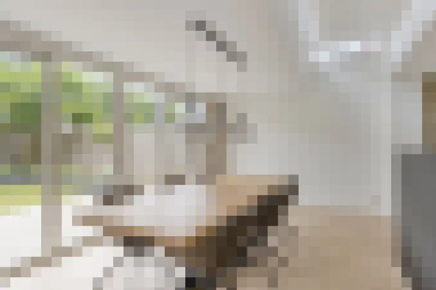 Mina Krusemanstraat 29 Venray thumbnail 20
