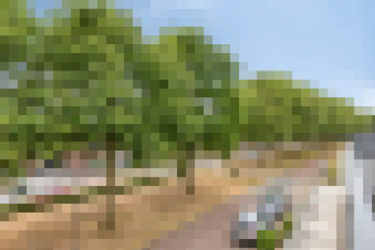 Mina Krusemanstraat 29 Venray thumbnail 33