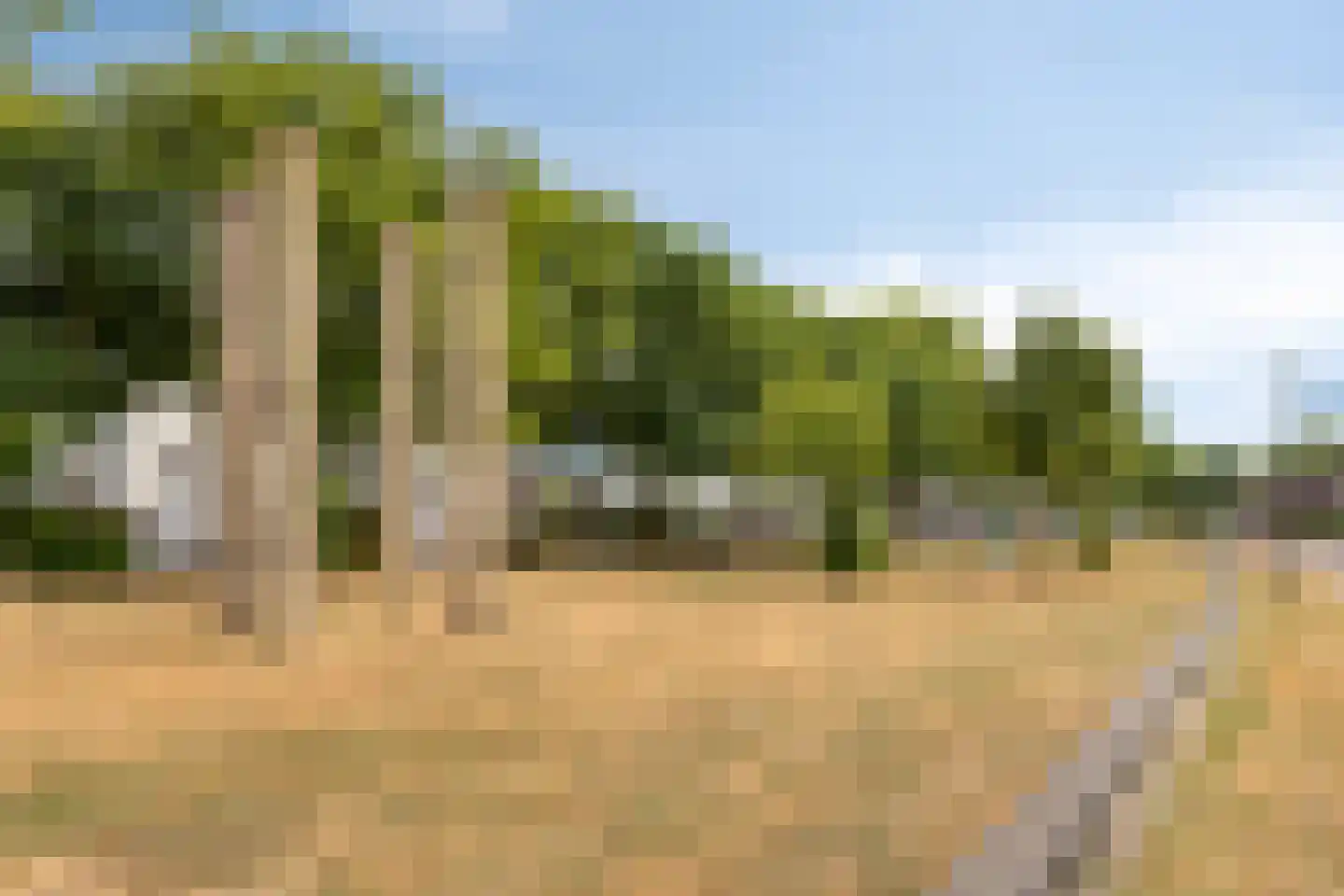 Mina Krusemanstraat 29 Venray thumbnail 45