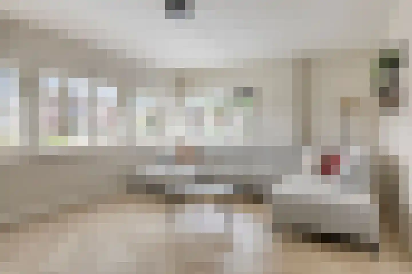 Mina Krusemanstraat 29 Venray thumbnail 8
