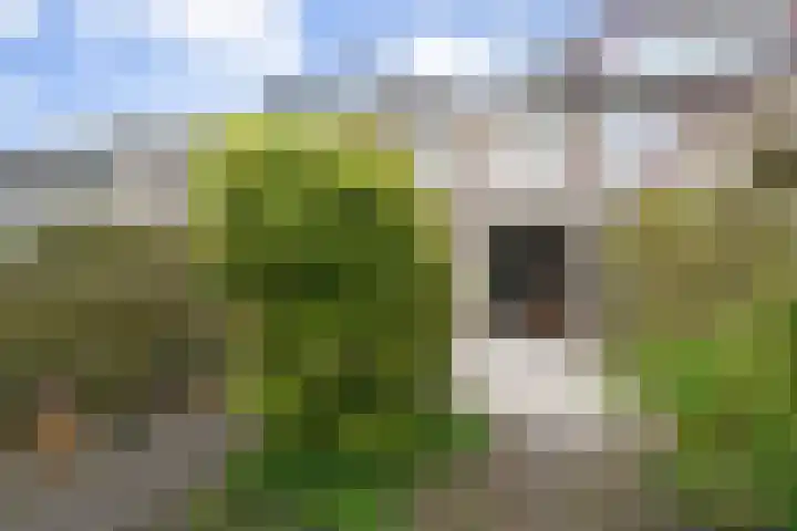 Mina Krusemanstraat 30 Pijnacker thumbnail 19