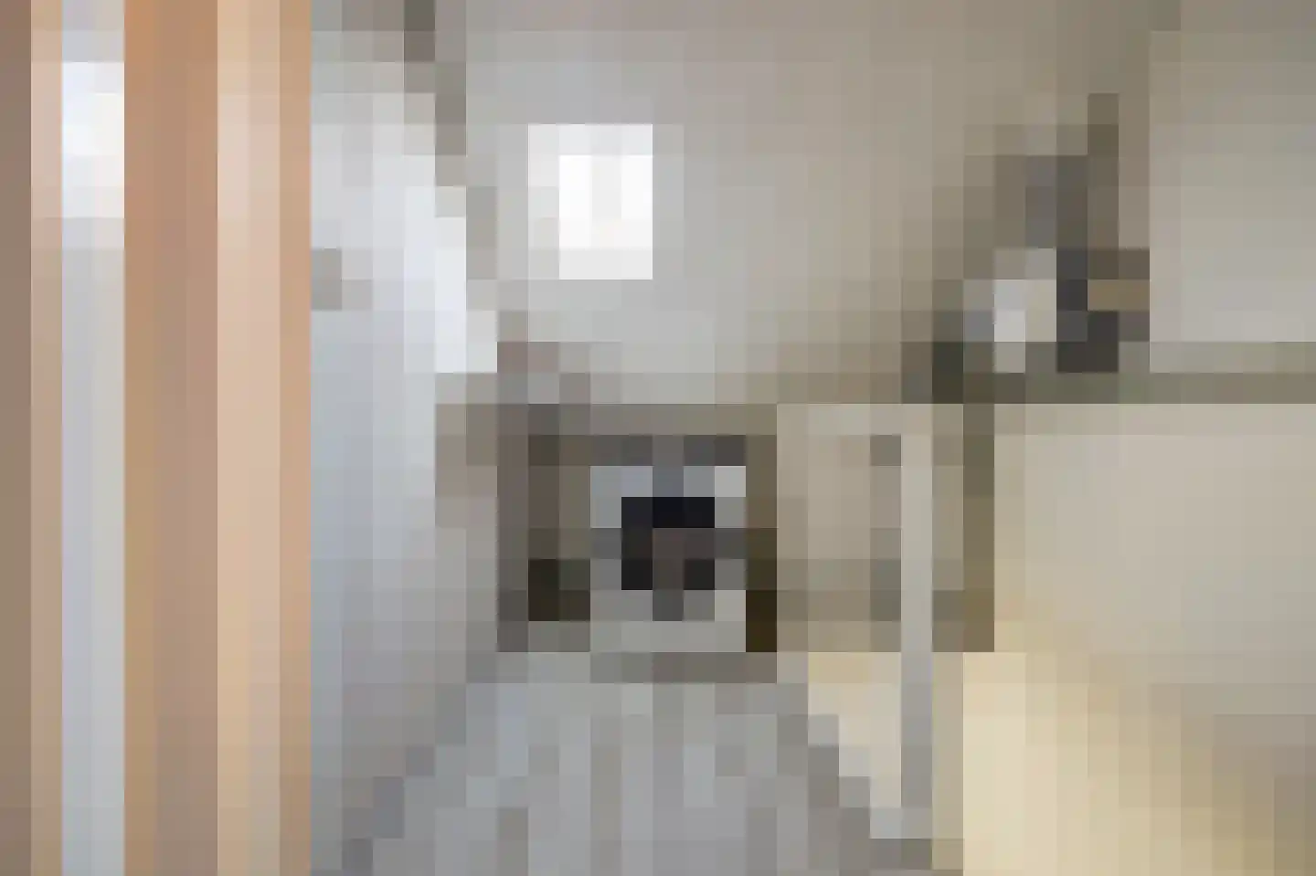 Mina Krusemanstraat 36 Spijkenisse thumbnail 26
