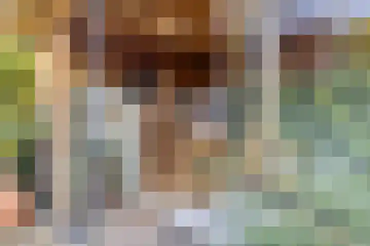 Mina Krusemanstraat 6 Coevorden thumbnail 33