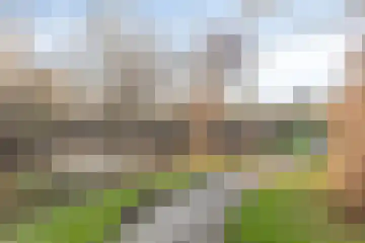 Mina Krusemanstraat 6 Coevorden thumbnail 36
