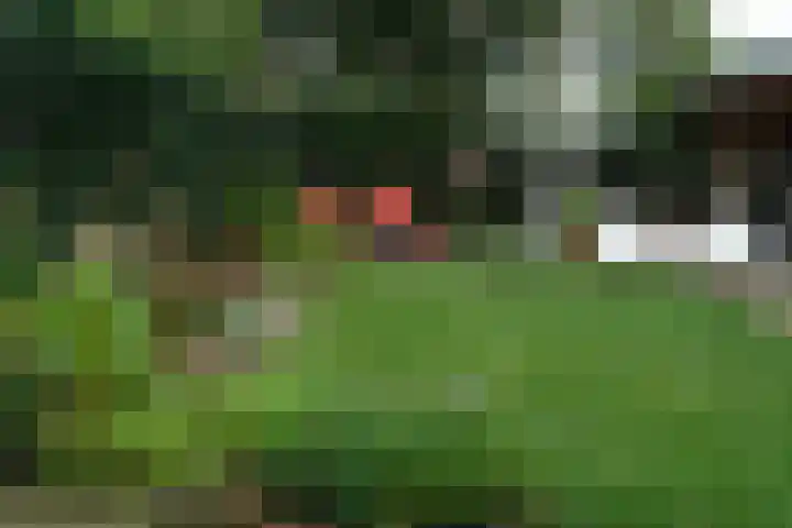 Mina Krusemanstraat 6 Coevorden thumbnail 40