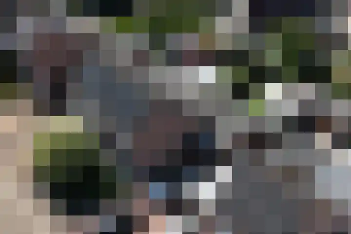 Mina Krusemanstraat 6 Coevorden thumbnail 41