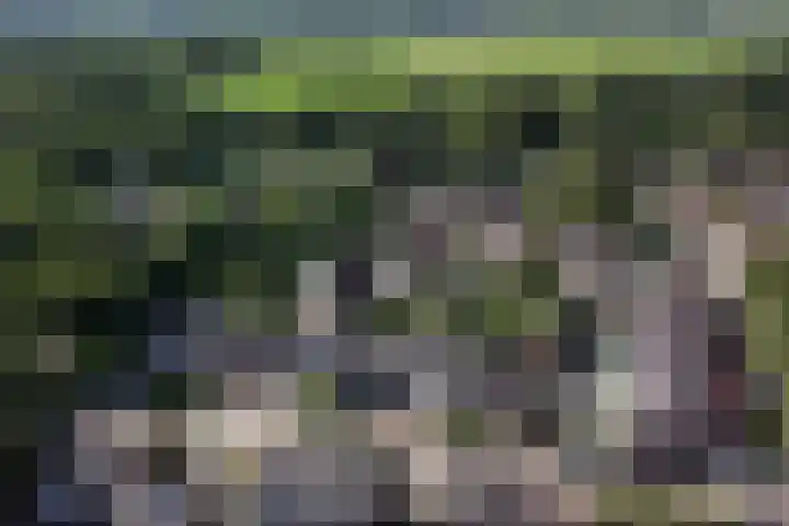 Mina Krusemanstraat 6 Coevorden thumbnail 42