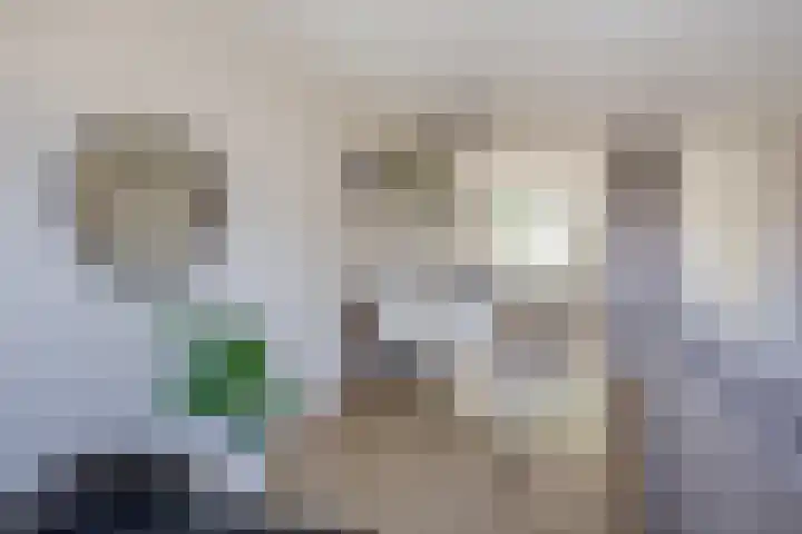 Mina Krusemanstraat 6 Spijkenisse thumbnail 15