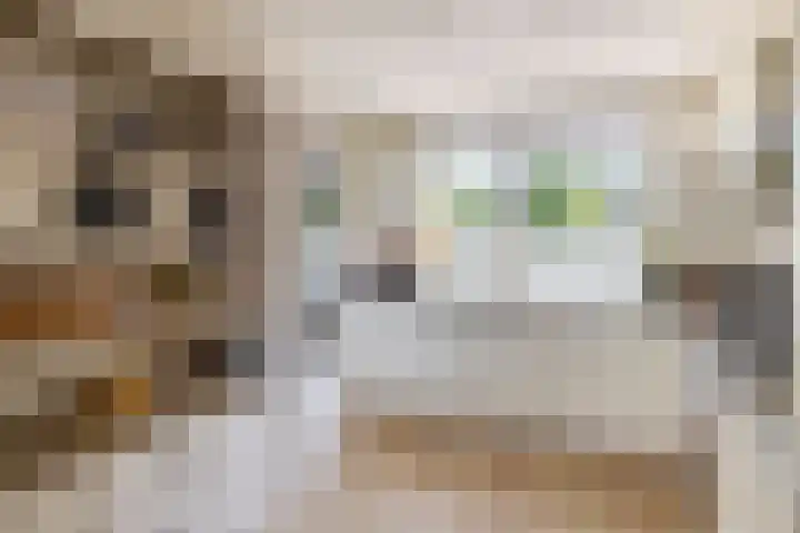 Mina Krusemanstraat 6 Spijkenisse thumbnail 18