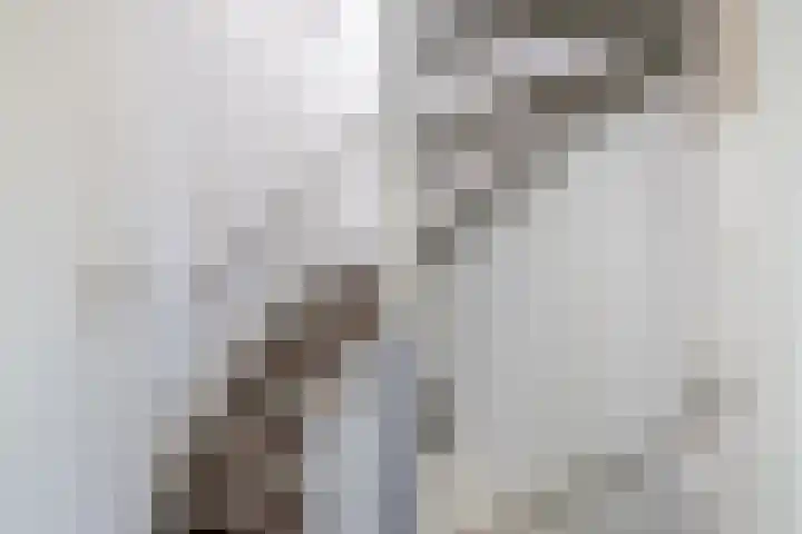 Mina Krusemanstraat 6 Spijkenisse thumbnail 30