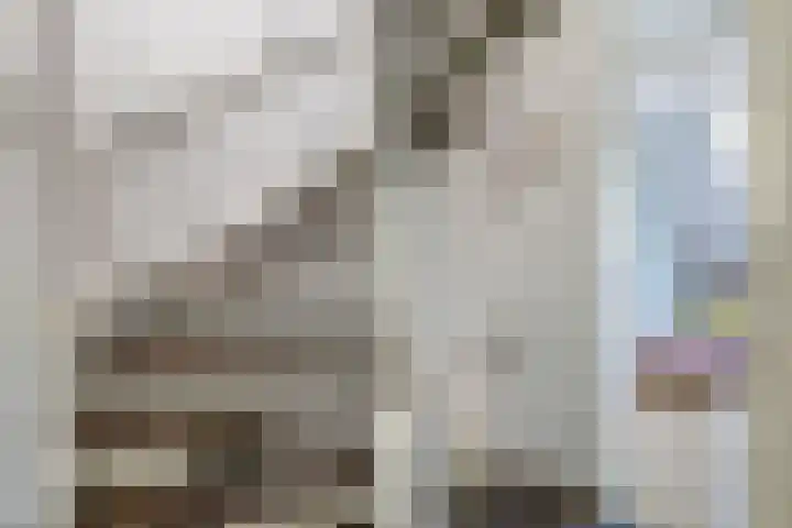 Mina Krusemanstraat 6 Spijkenisse thumbnail 31