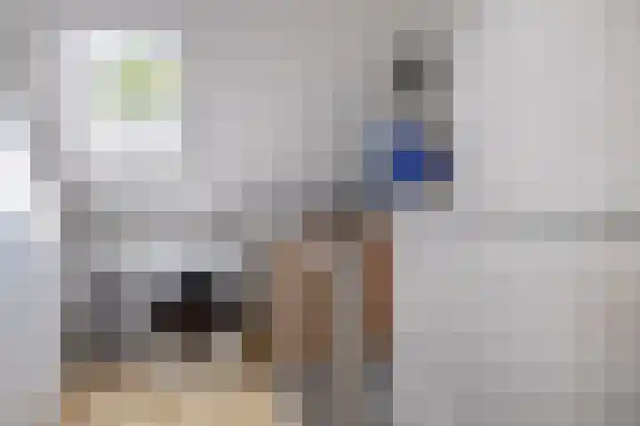 Mina Krusemanstraat 6 Spijkenisse thumbnail 40