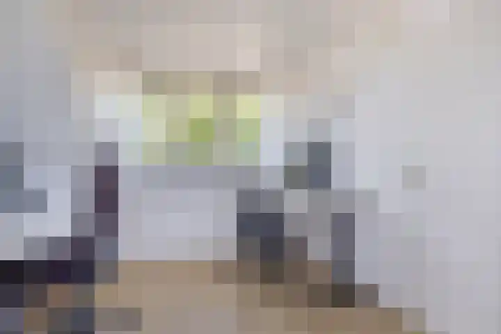 Mina Krusemanstraat 6 Spijkenisse thumbnail 42