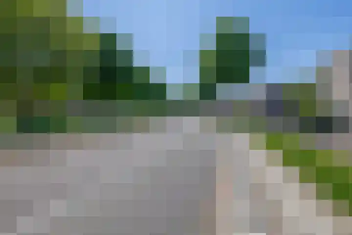 Mina Krusemanstraat 6 Spijkenisse thumbnail 44
