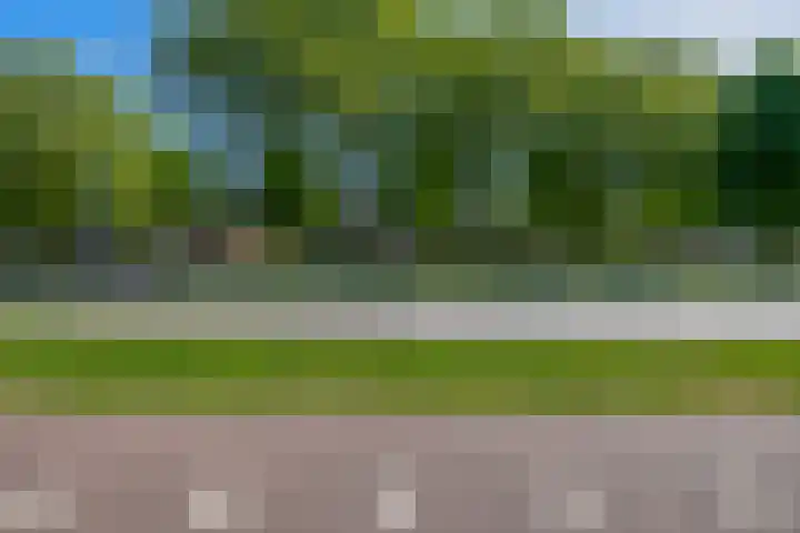 Mina Krusemanstraat 6 Spijkenisse thumbnail 47
