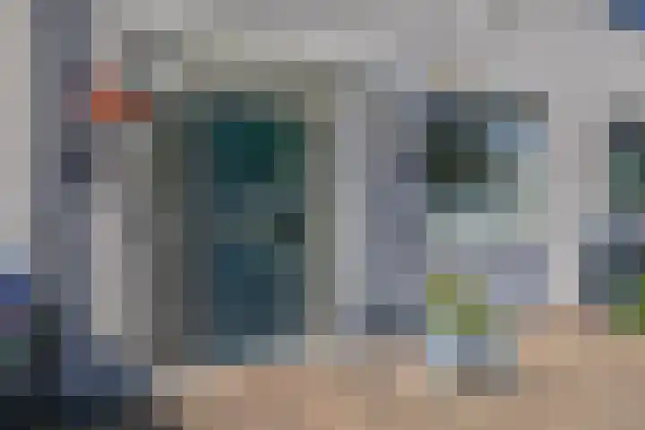 Mina Krusemanstraat 6 Spijkenisse thumbnail 9