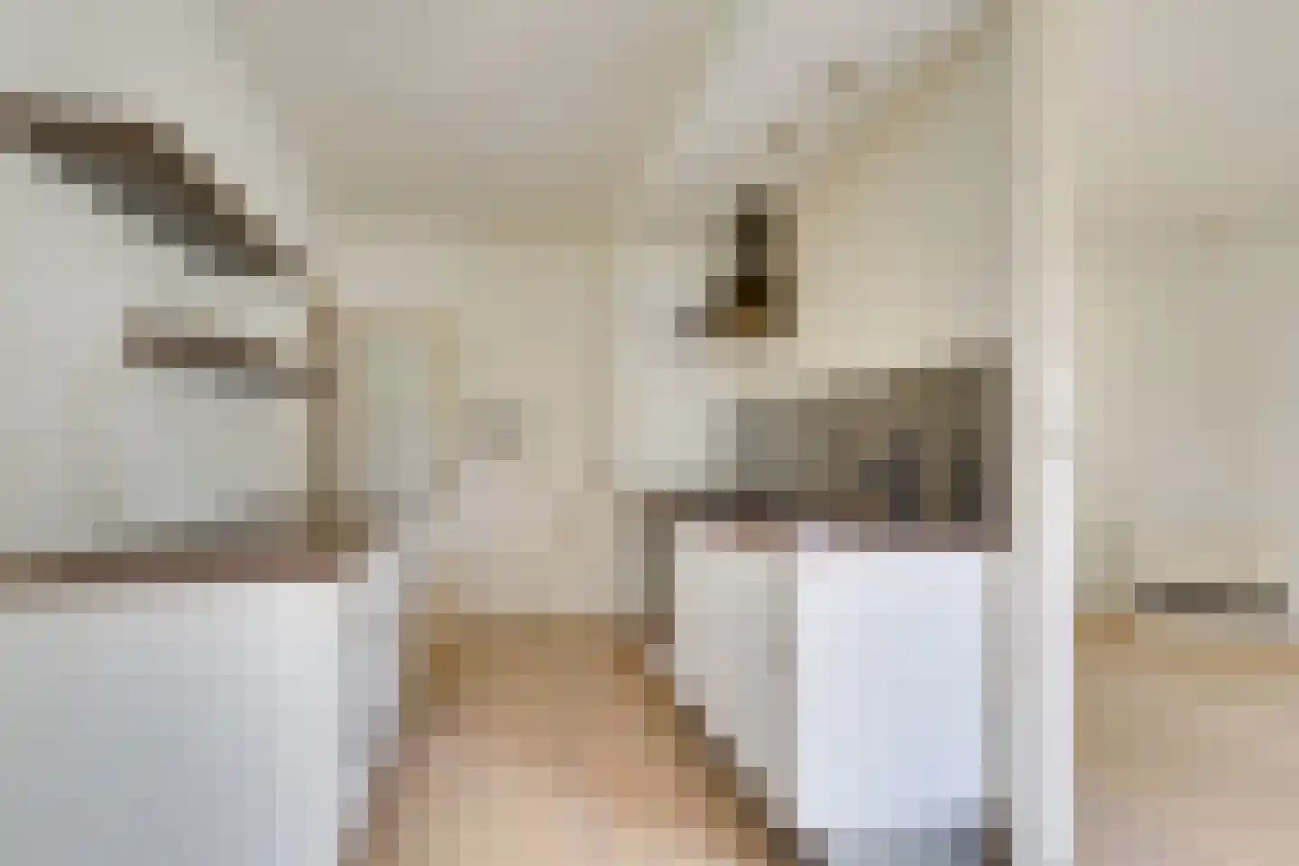 Minahassastraat 1 Utrecht thumbnail 11