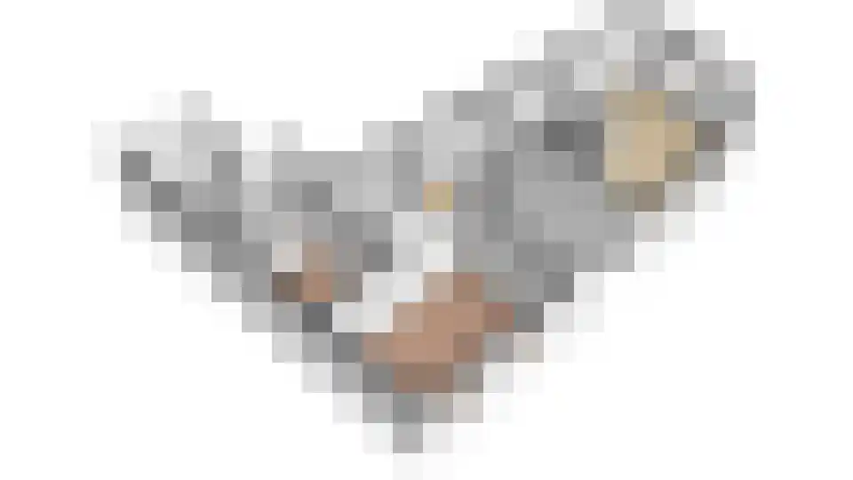 Minahassastraat 1 Utrecht thumbnail 27