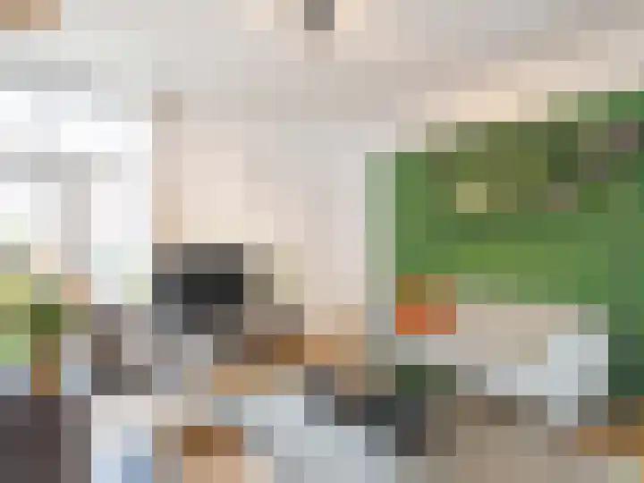 Minahassastraat 11 BS Utrecht thumbnail 15