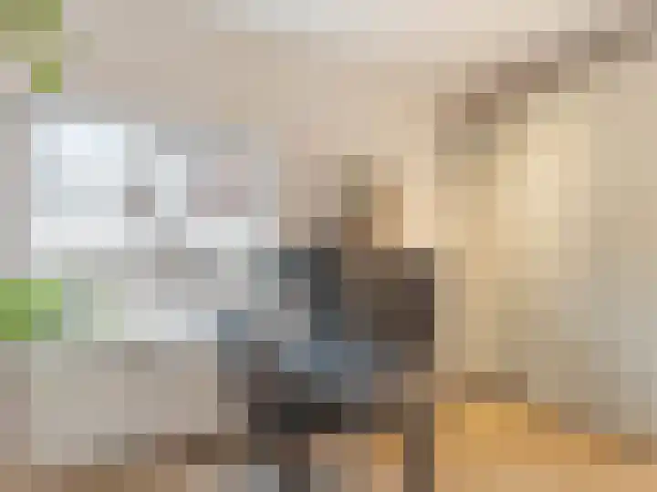 Minahassastraat 11 BS Utrecht thumbnail 22
