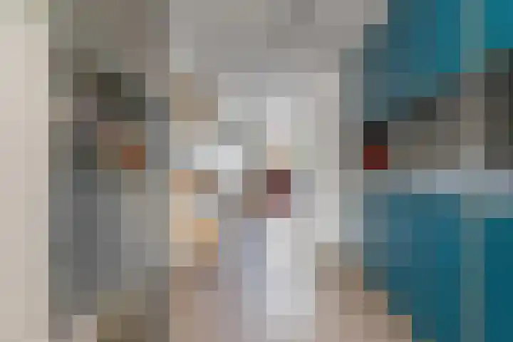 Minahassastraat 131 Amsterdam thumbnail 11