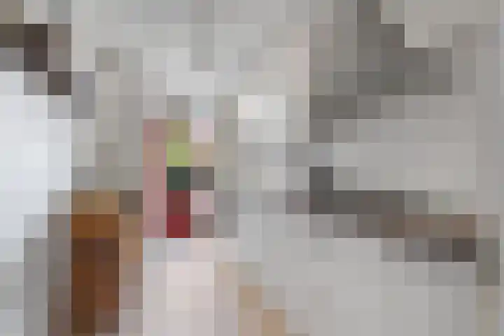 Minahassastraat 131 Amsterdam thumbnail 12