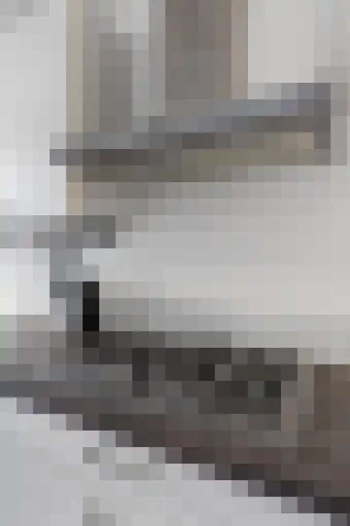 Minahassastraat 131 Amsterdam thumbnail 14