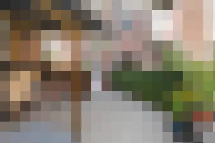 Minahassastraat 131 Amsterdam thumbnail 28