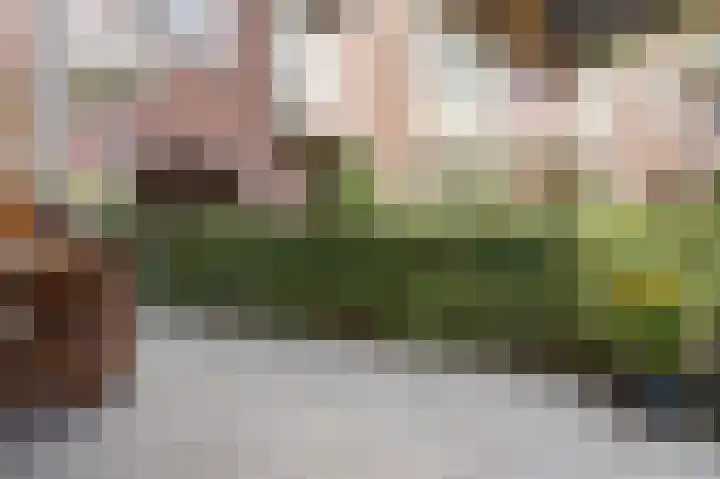 Minahassastraat 131 Amsterdam thumbnail 29