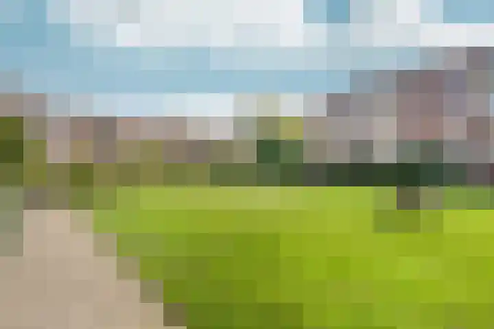 Minahassastraat 131 Amsterdam thumbnail 30