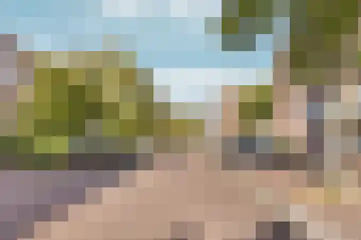 Minahassastraat 131 Amsterdam thumbnail 37