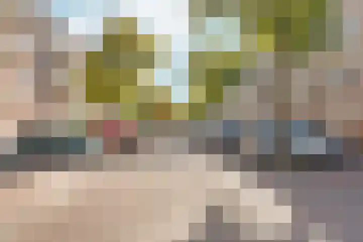 Minahassastraat 131 Amsterdam thumbnail 38