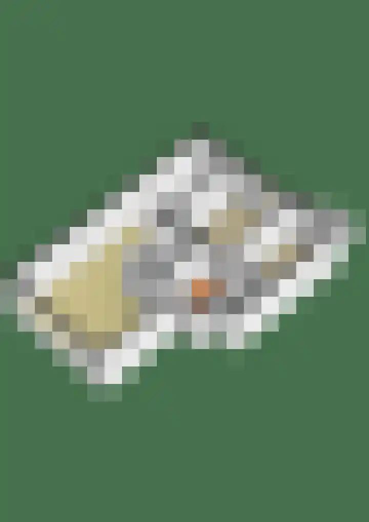 Minahassastraat 131 Amsterdam thumbnail 40