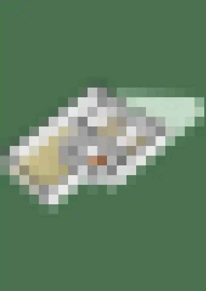 Minahassastraat 131 Amsterdam thumbnail 46