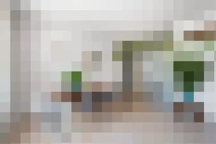 Minahassastraat 131 Amsterdam thumbnail 8