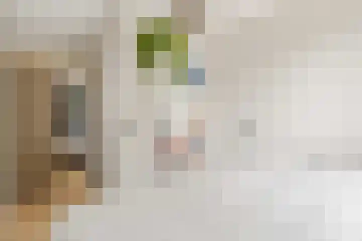 Minahassastraat 14 C Amsterdam thumbnail 16
