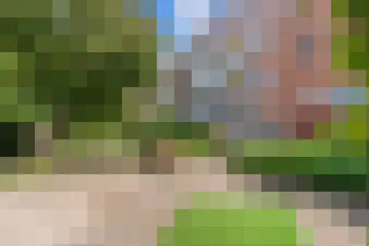 Minahassastraat 14 C Amsterdam thumbnail 22