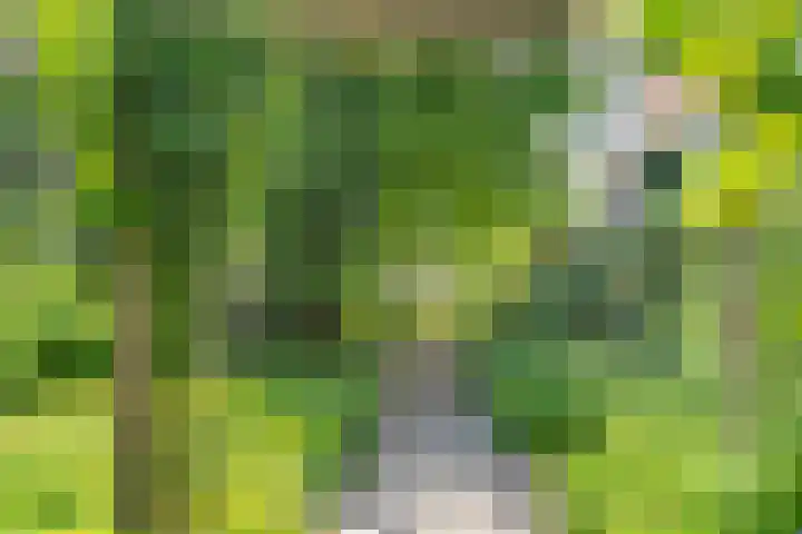 Minahassastraat 14 C Amsterdam thumbnail 23