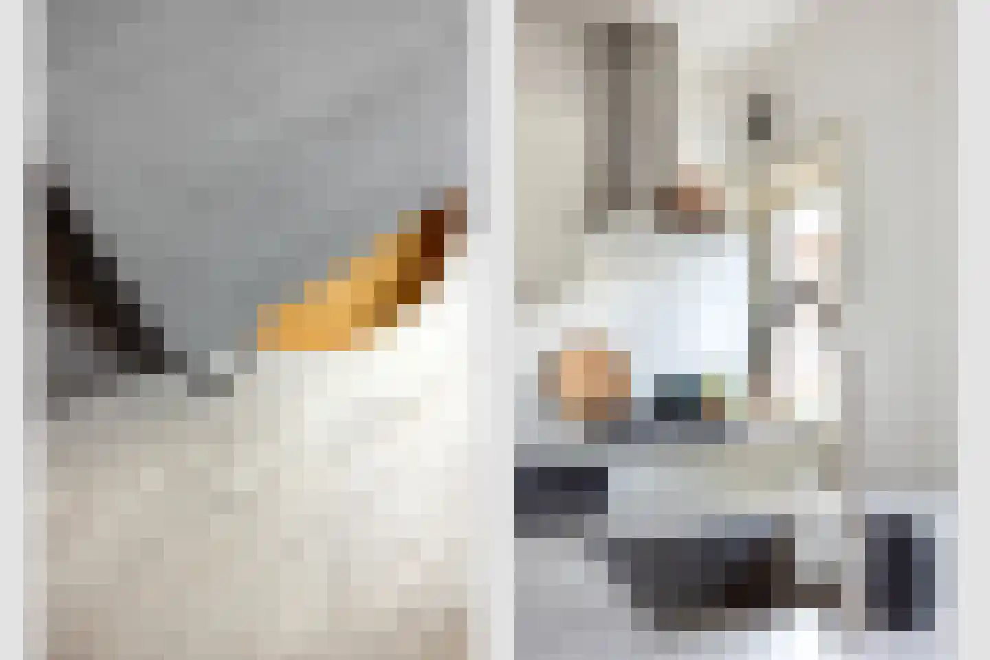 Minahassastraat 15 BS Utrecht thumbnail 17